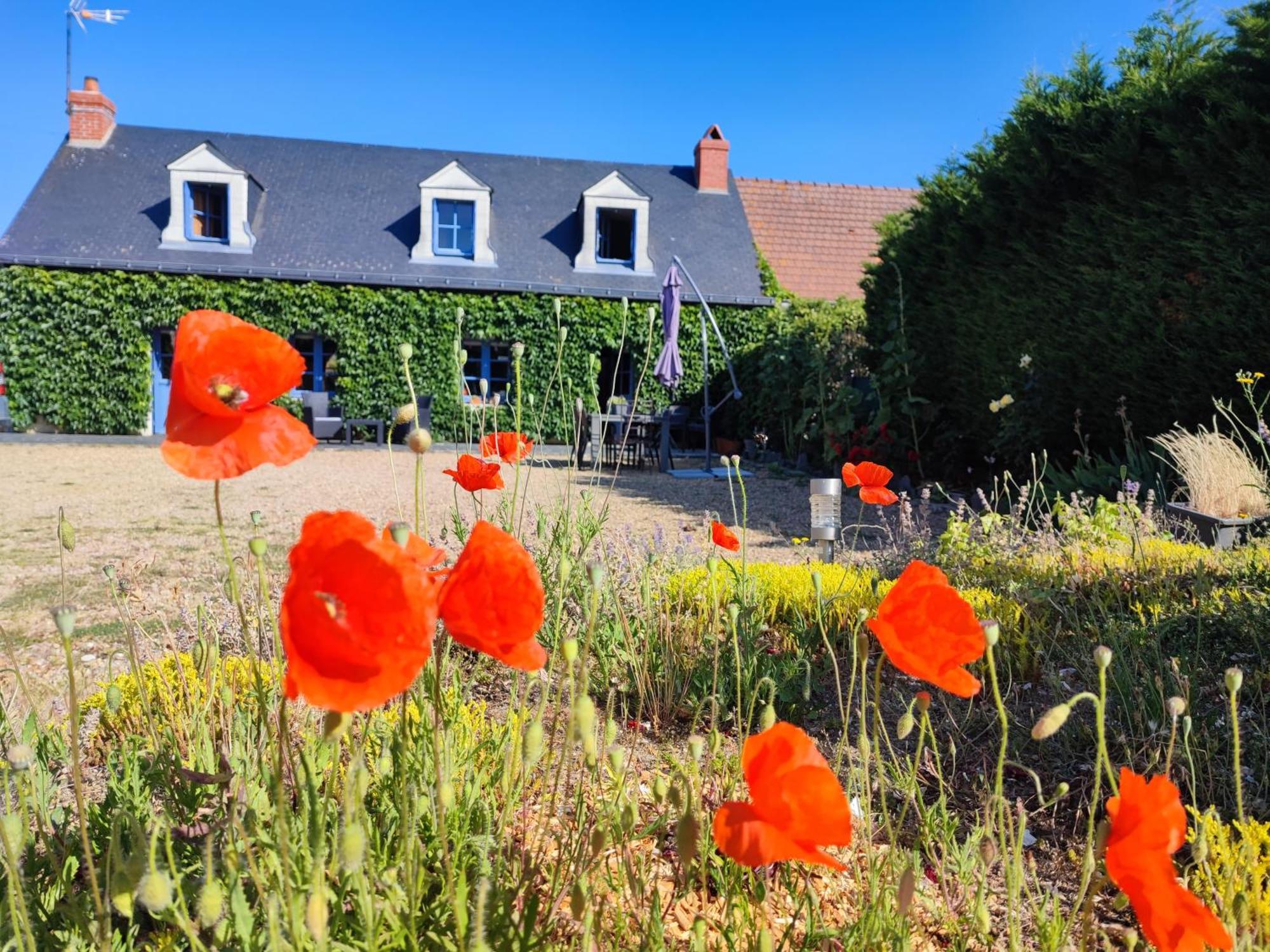 Le Clos Champetre Longué エクステリア 写真
